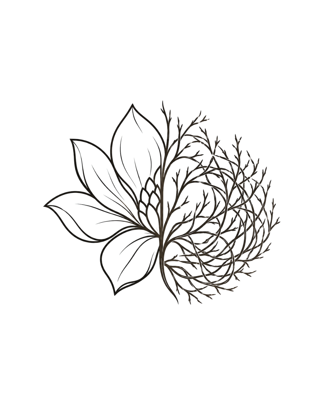 MAGNOLIA TUMBLEWEED