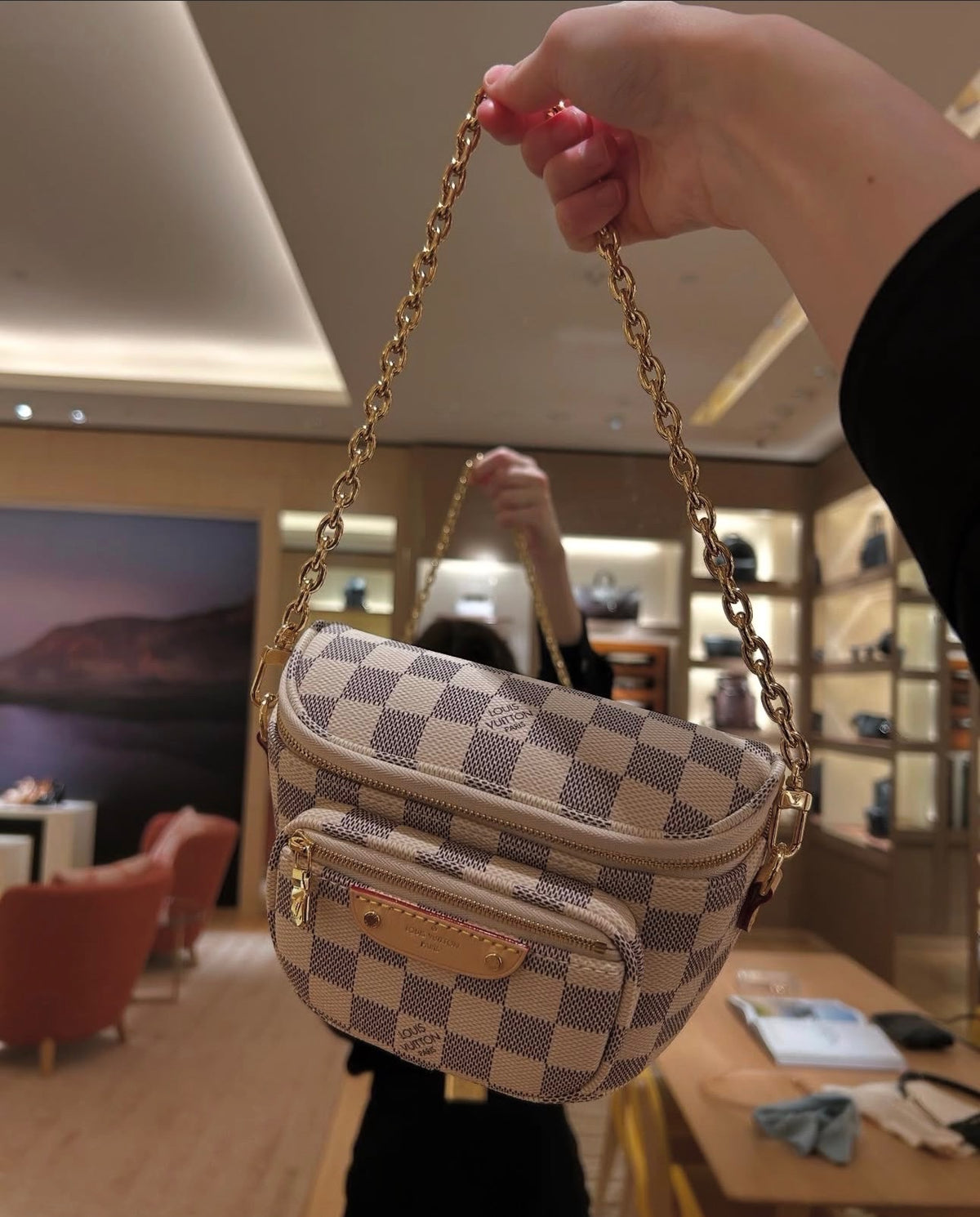 L V white checkered Bag