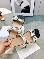 CD ribbon slide