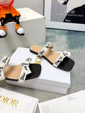 CD ribbon slide